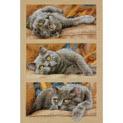 D70-35301 - Max the Cat (Katinas Maksas) siuvinėjimo rinkinys Dimensions