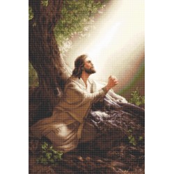 B618 - 35x52 cm - Jėzus Kristus (Jesus Christ) siuvinėjimo rinkinys Luca-S