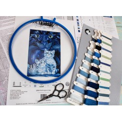 L8064 - Palinkėti žvaigždės (Wish Upon a Star) siuvinėjimo rinkinys Letistitch