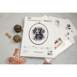 BC213 - Borderkolis (The Border Collie) siuvinėjimo rinkinys Luca-S