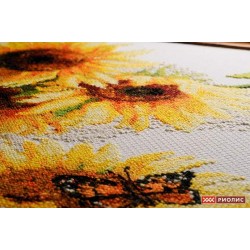 SR 1488 - Karšta vasara (Hot Summer) siuvinėjimo rinkinys Riolis