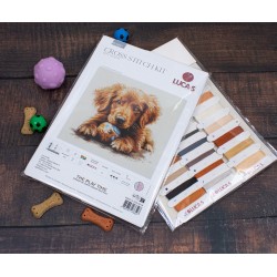 BU5037 - Laikas žaisti (The Playtime) siuvinėjimo rinkinys Luca-S