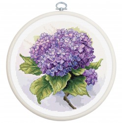 BC225 - Hortenzija (Hydrangea) siuvinėjimo rinkinys Luca-s