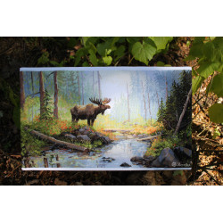 K245 - Miško rytas (Woodland Morning) siuvinėjimo rinkinys Merejka