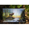 K245 - Miško rytas (Woodland Morning) siuvinėjimo rinkinys Merejka