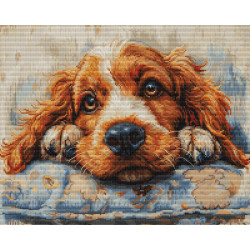 BU5058 - Kokerspanielis (Cocker Spaniel) siuvinėjimo rinkinys Luca-s