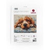 BU5058 - Kokerspanielis (Cocker Spaniel) siuvinėjimo rinkinys Luca-s