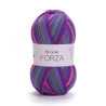 2501 - YarnArt Forza