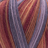 2503 - YarnArt Forza