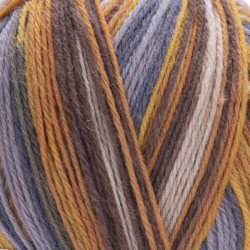 2504 - YarnArt Forza