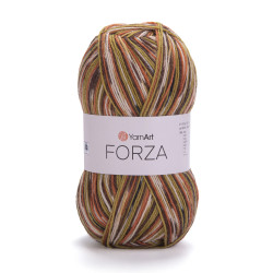 2511 - YarnArt Forza