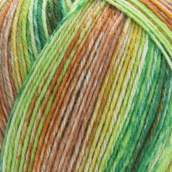 2604 - YarnArt Forza
