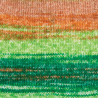 2604 - YarnArt Forza