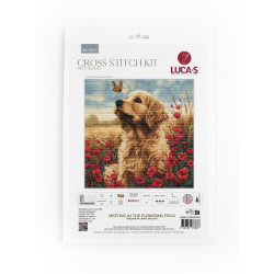 BU5073 - Susitikimas žydinčiame lauke (Meeting in the Flowering Field) siuvinėjimo rinkinys Luca-S