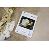 G713  - Magnolija Dew  (The Magnolia Dew) siuvinėjimo rinkinys Luca-S