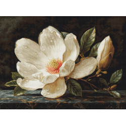 B713 - Magnolija Dew  (The Magnolia Dew)  siuvinėjimo rinkinys Luca-S