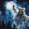 L9923 - Vidurnakčio sniegas (Midnight snowfall) siuvinėjimo rinkinys Letistitch
