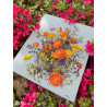K270 - Saulės apšviesti žiedlapiai (Sunlit Petals) siuvinėjimo rinkinys Merejka
