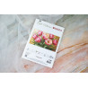 B718 - Grakščios tulpės (Graceful Tulips) siuvinėjimo rinkinys Luca-S
