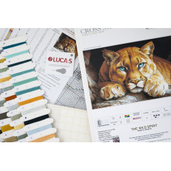 BU5081 - Laukinė dvasia (The Wild Spirit) siuvinėjimo rinkinys Luca-S
