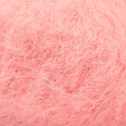 25 - persikinė rožė DROPS Melody