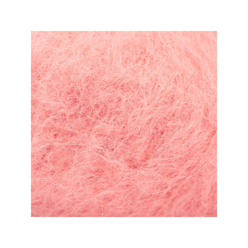 25 - persikinė rožė DROPS Melody