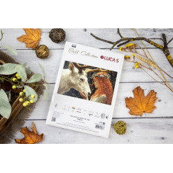 B724 - Švelnioji miško dvasia (The Gentle Spirit of the Forest) siuvinėjimo rinkinys Luca-S