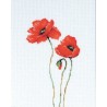 B2225 - Aguonos  (Poppies) siuvinėjimo rinkinys Luca-S