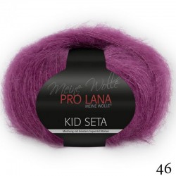 46 - avietinė Pro Lana Kid Seta