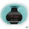 67 - turkio Pro Lana Kid Seta