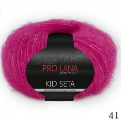 41 - avietė Pro Lana Kid Seta