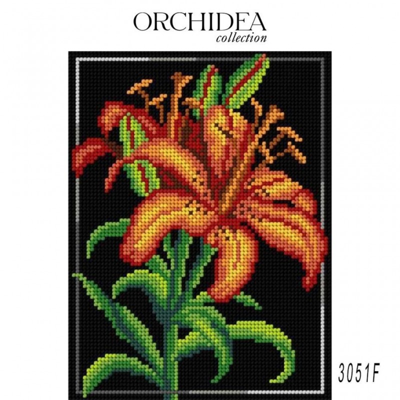 3051 18x24 cm kanva su atspaustu piešiniu Orchidea