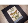 LETI 975 - Vintage Wings-Le Papillons siuvinėjimo rinkinys Letistitch
