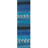 4446 - Alize Superwash Comfort 100