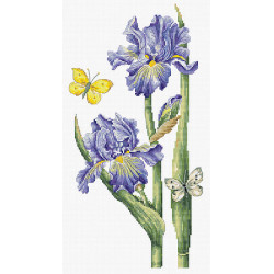 B7001 - Gegužės irisas (May iris) siuvinėjimo rinkinys Luca-S