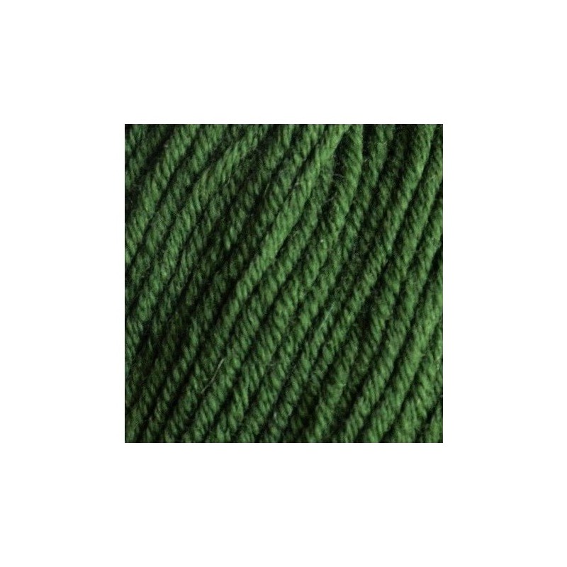 06 - tamsi žalia Alvita Hercolamb Plius