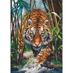 B2406 - Tigras (The tiger) siuvinėjimo rinkinys Luca-S