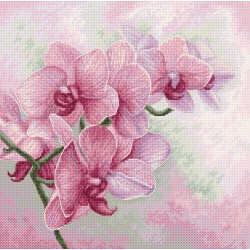 B7009 - Grakščios orchidėjos (Graceful Orchids) siuvinėjimo rinkinys Luca-S