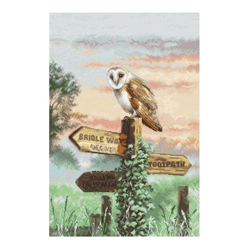 LETI L8031 - Žvirblinė pelėda (Barn owl) siuvinėjimo rinkinys Letistitch