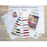 LETI L8034 - Raudonas sportinis autimobilis (Red sports car) siuvinėjimo rinkinys Letistitch