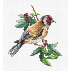 B1197 - Auksagalvis paukštis (Goldfinch bird) siuvinėjimo rinkinys Luca-S