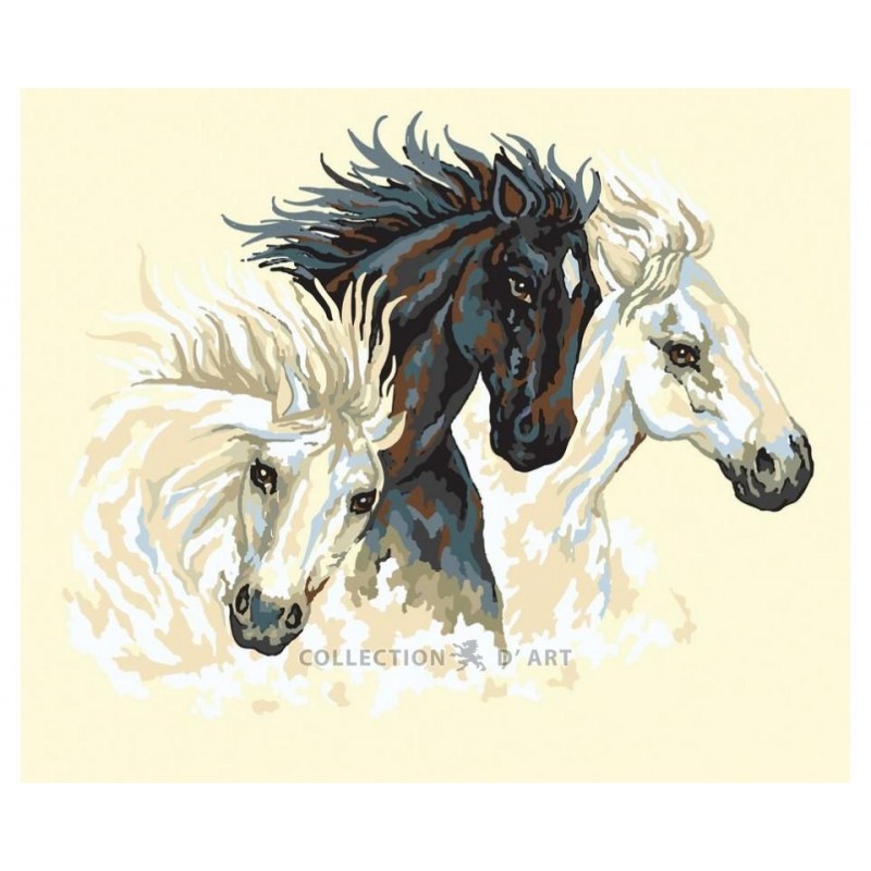 12961 kanva su atspaustu piešiniu Collection D'Art