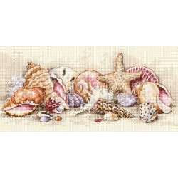 D65035 - Seashell Tresures siuvinėjimo rinkinys Dimensions