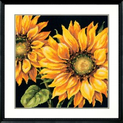 D71-20083 - Dramatic Sunflower siuvinėjimo rinkinys Dimensions